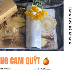 Trà viên hoa thảo mộc gừng cam quýt - Tăng sức đề kháng - Giải cảm cúm - Tea Hopes giá sỉ