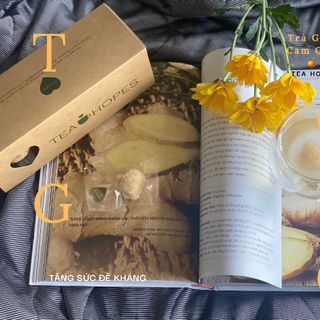 Trà viên hoa thảo mộc gừng cam quýt - Tăng sức đề kháng - Giải cảm cúm - Tea Hopes