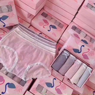 Quần lót thiên nga về bao la