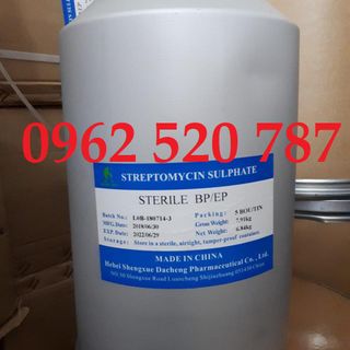 Streptomycin phòng trị các bệnh đường ruột, lở loét trên tôm cá