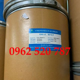 Streptomycin phòng trị các bệnh đường ruột, lở loét trên tôm cá