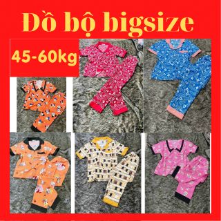 Đồ Ngủ 45-60kg Bigsize cao cấp vải Lụa [tay ngắn quần dài] giá sỉ