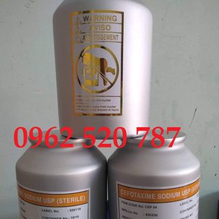 CEFOTAXIME nguyên liệu 98% dùng trong thủy sản - thú y