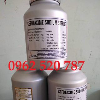 CEFOTAXIME nguyên liệu 98% dùng trong thủy sản - thú y