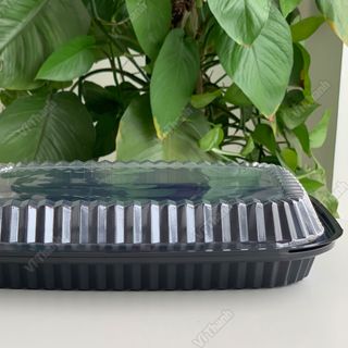 Hộp nhựa đế đen HT203