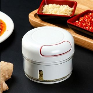 Máy xay tỏi ớt giá sỉ