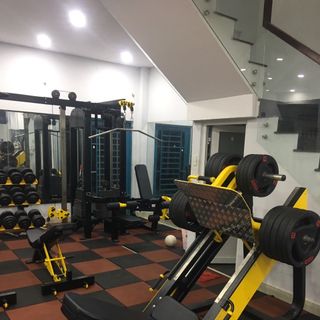 Gạch cao su màu lót phòng gym