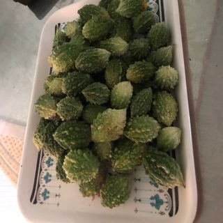 Khổ qua rừng tây nguyên làm thuốc