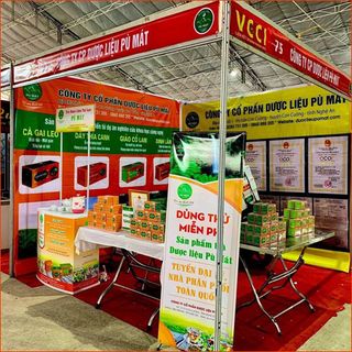 Trà Cà Gai Leo - trà túi lọc Dược Liệu Pù Mát 30 túi 3g TC Bộ Y Tế