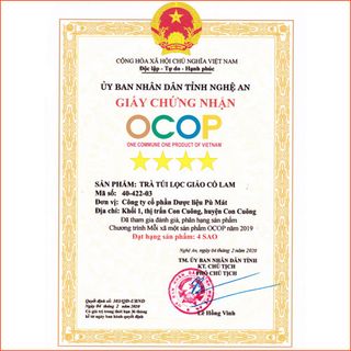 Trà Giảo Cổ Lam túi lọc -trà Dược Liệu Pù Mát 30 túi 3g QC Bộ Y tế
