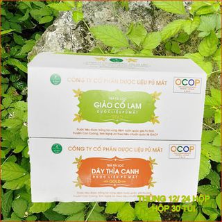 Trà Giảo Cổ Lam túi lọc -trà Dược Liệu Pù Mát 30 túi 3g QC Bộ Y tế