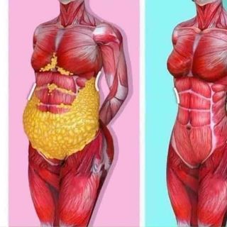 KEM TAN MỠ QUÊ OLIC