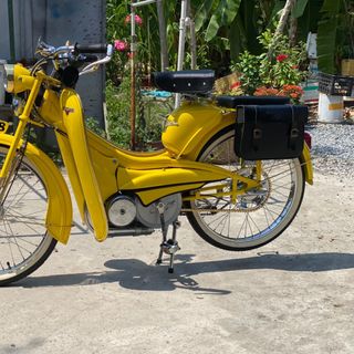 Xe đạp máy cổ Mobylette AV44 (Cá Xám)