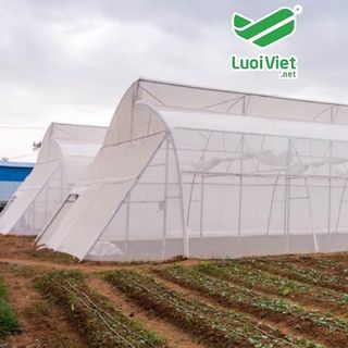NHÀ MÁY LƯỚI CHẮN CÔN TRÙNG - TÌM ĐẠI LÝ CẤP 1