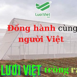 NHÀ MÁY LƯỚI CHẮN CÔN TRÙNG - TÌM ĐẠI LÝ CẤP 1