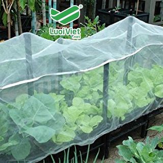 NHÀ MÁY LƯỚI CHẮN CÔN TRÙNG - TÌM ĐẠI LÝ CẤP 1