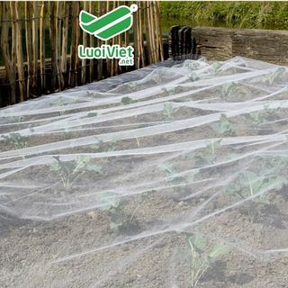 NHÀ MÁY LƯỚI CHẮN CÔN TRÙNG - TÌM ĐẠI LÝ CẤP 1