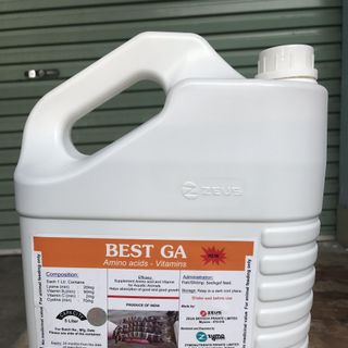 Best Ga bổ gan thảo dược