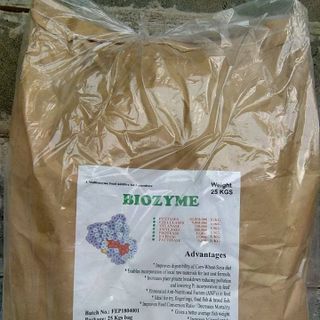 enzyme tăng trọng Biozyme giá sỉ