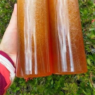 MẬT ONG RỪNG VÂN CANH