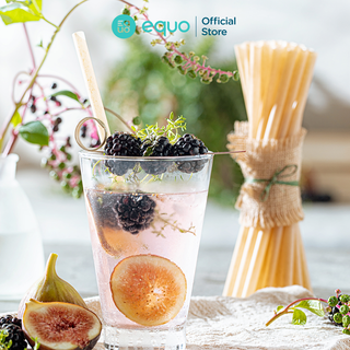 Ống hút bã mía EQUO không tan trong nước thùng 1000 ống size smoothies 8*200mm