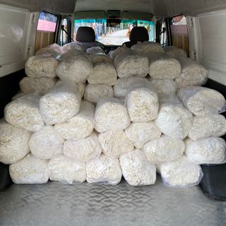 GIẤY THỰC PHẨM [GIẤY LÓT HỘP YẾN]