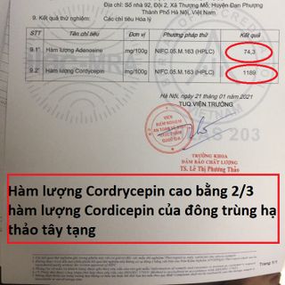 Đông Trùng Hạ Thảo Ký Chủ Nhộng Sắn hộp 3 lọ 18 con