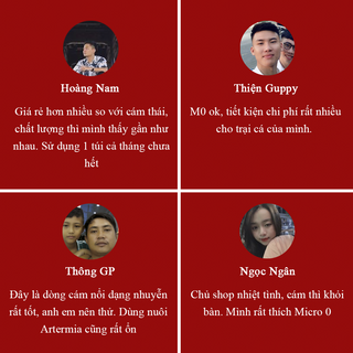 Cám Micro 0 thức ăn dành cho cá Guppy, betta giúp cá lên màu tốt, tăng size nhanh