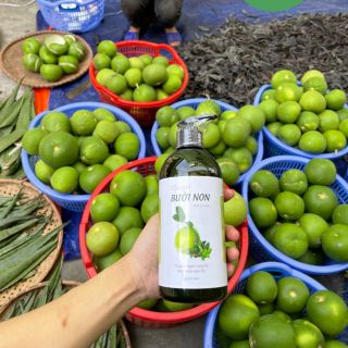 Dầu Gội Tinh Dầu Bưởi Non thiên nhiên handmade Thuần Diệp 500 ml Gía Sỉ Gía Buôn