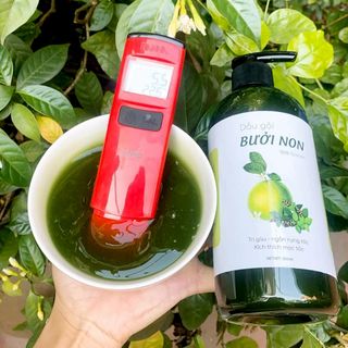 Dầu Gội Tinh Dầu Bưởi Non thiên nhiên handmade Thuần Diệp 500 ml Gía Sỉ Gía Buôn