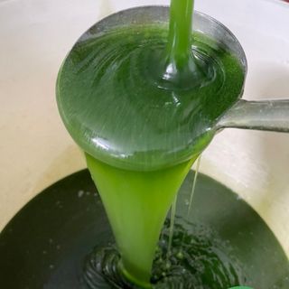 Dầu Gội Tinh Dầu Bưởi Non thiên nhiên handmade Thuần Diệp 500 ml Gía Sỉ Gía Buôn