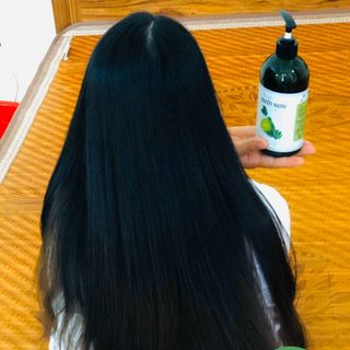 Dầu Gội Tinh Dầu Bưởi Non thiên nhiên handmade Thuần Diệp 500 ml Gía Sỉ Gía Buôn