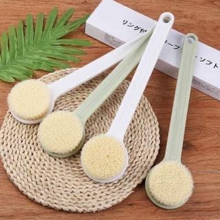 Cọ Lưng Nhật
