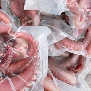 Râu mực khổng lồ