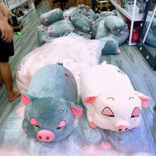 Gối Kèm Mền Heo