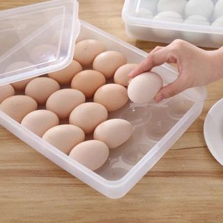 Hộp Đựng Trứng Nhựa 24 Quả