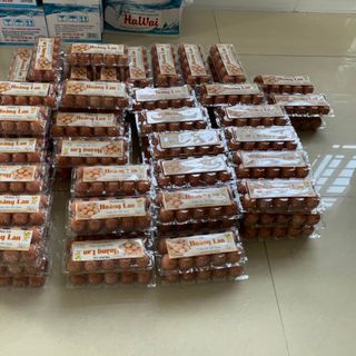 Tìm nhà phân phối trứng gà công nghiệp