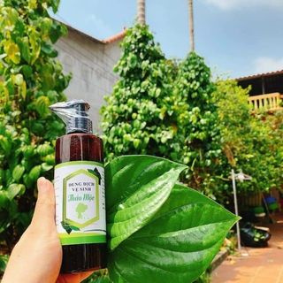 Dung dịch vệ sinh phụ nữ nam dùng được Thuần Diệp lá trầu không bạc hà thiên nhiên handmade