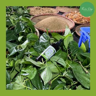 Dung dịch vệ sinh phụ nữ nam dùng được Thuần Diệp lá trầu không bạc hà thiên nhiên handmade