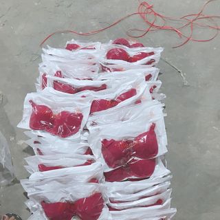 Áo lót Nữ, Áo Ngực Baqiya Nâng Ngực Thái K32 Có Đệm Dày 3 Phân Pha Dây Lưới Có Gọng Đẩy Chống Xệ Ngực Tạo Khe