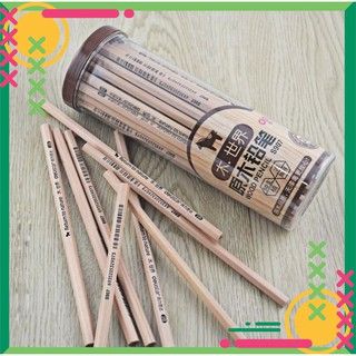 Bút Chì Gỗ Hộp 50 chiếc Chất Liệu An Toàn Bền Đẹp Cho Các Bé , Đồ Chơi Luyện Trí tuệ