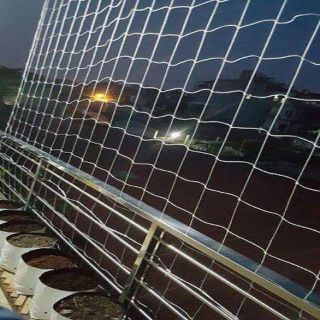 Lưới Trồng Hoa, Lưới Giàn Leo Dưa Chượt, Lưới Trồng Cây