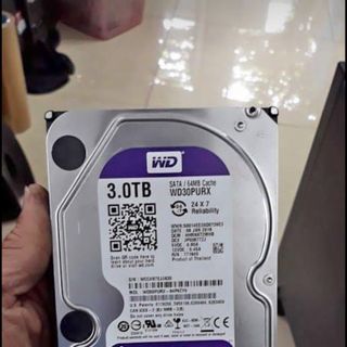 HDD PC 3TB WESTERN PURPLE - Chuyên Camera giá sỉ