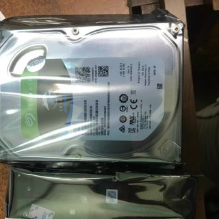 HDD WESTERN 6T PURPLE-CHUYÊN CAMERA