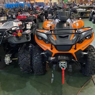 ATV Địa Hình Chuyên Nghiệp Linhai 300cc - Số Tự Động - 2 Cầu Điện - Tời Điện