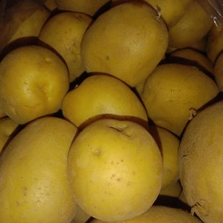 Rau củ