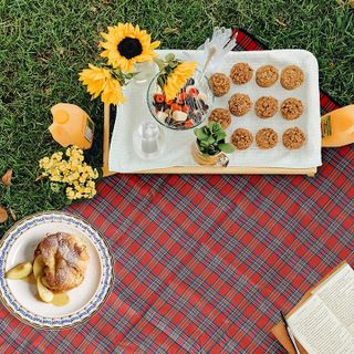 Thảm dã ngoại du lịch đi biển, bạt trải picnic cắm trại đi phượt kết hợp tập yoga gấp gọn sọc kẻ caro giá rẻ