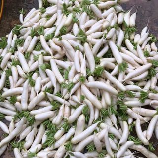 Củ Cải bịch 10kg ( chỉ Giao HCM 20 Bịch các loại )