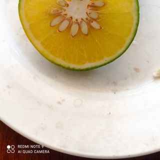 Cam Vinh V1 Oganic