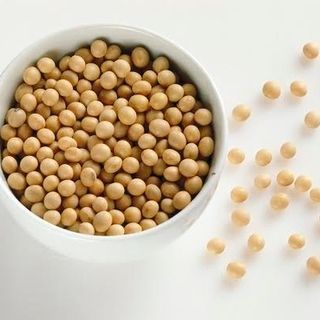 Hạt đậu nành (GMO và Non GMO)
